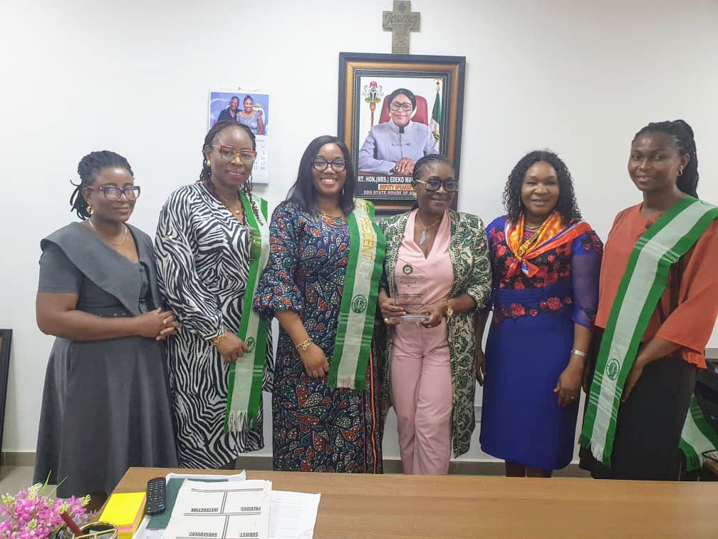 Edeko Urges Professional Women To Engage, Participate In Politics